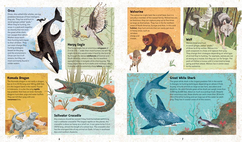 Incredible Animals- Barefoot Books