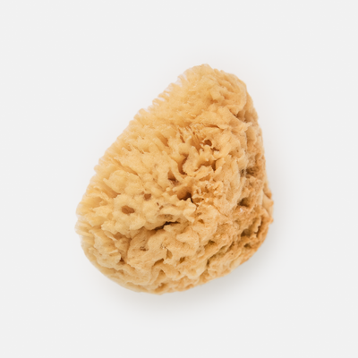 Bath Accessories Company - Mediterranean Wool Sponges