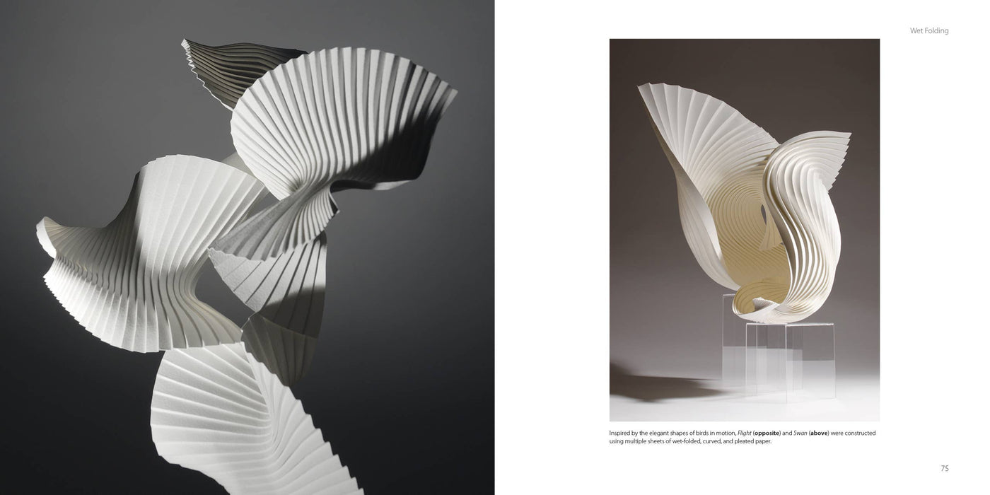 Paper Sculpture: Fluid Forms-Schiffer Publishing