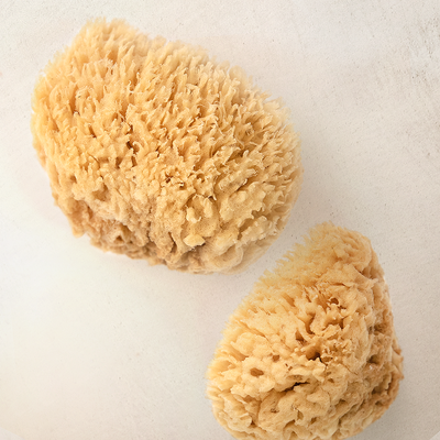 Bath Accessories Company - Mediterranean Wool Sponges