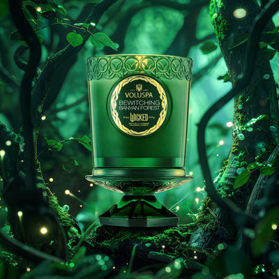 Bewitching Banyan Forest Boxed Candle-Voluspa