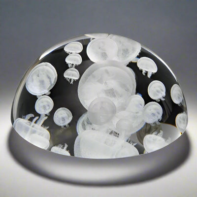 Crystal Dome - Moon Jellyfish-Dynasty Gallery