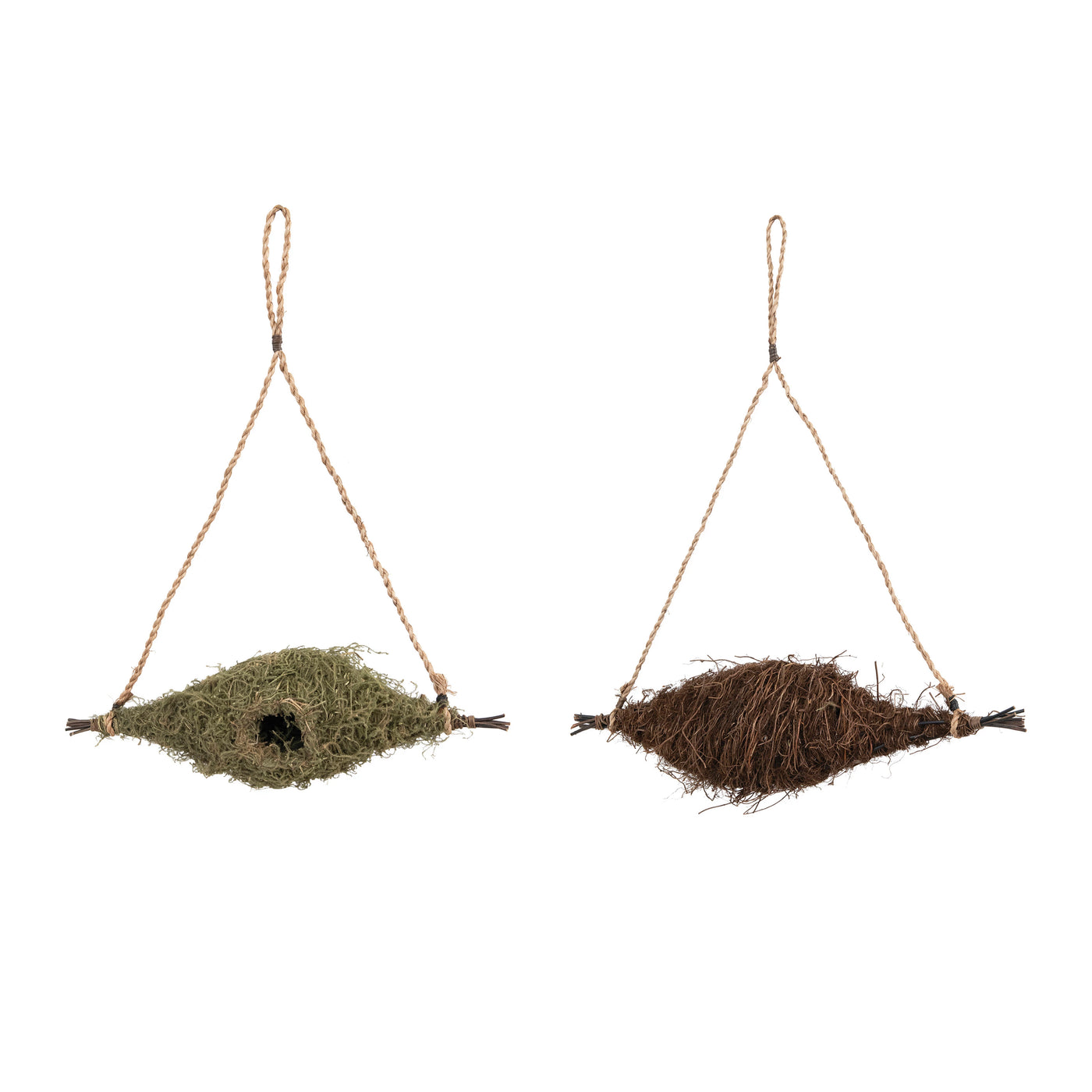 Hanging Moss and Grassroot Bird Nest