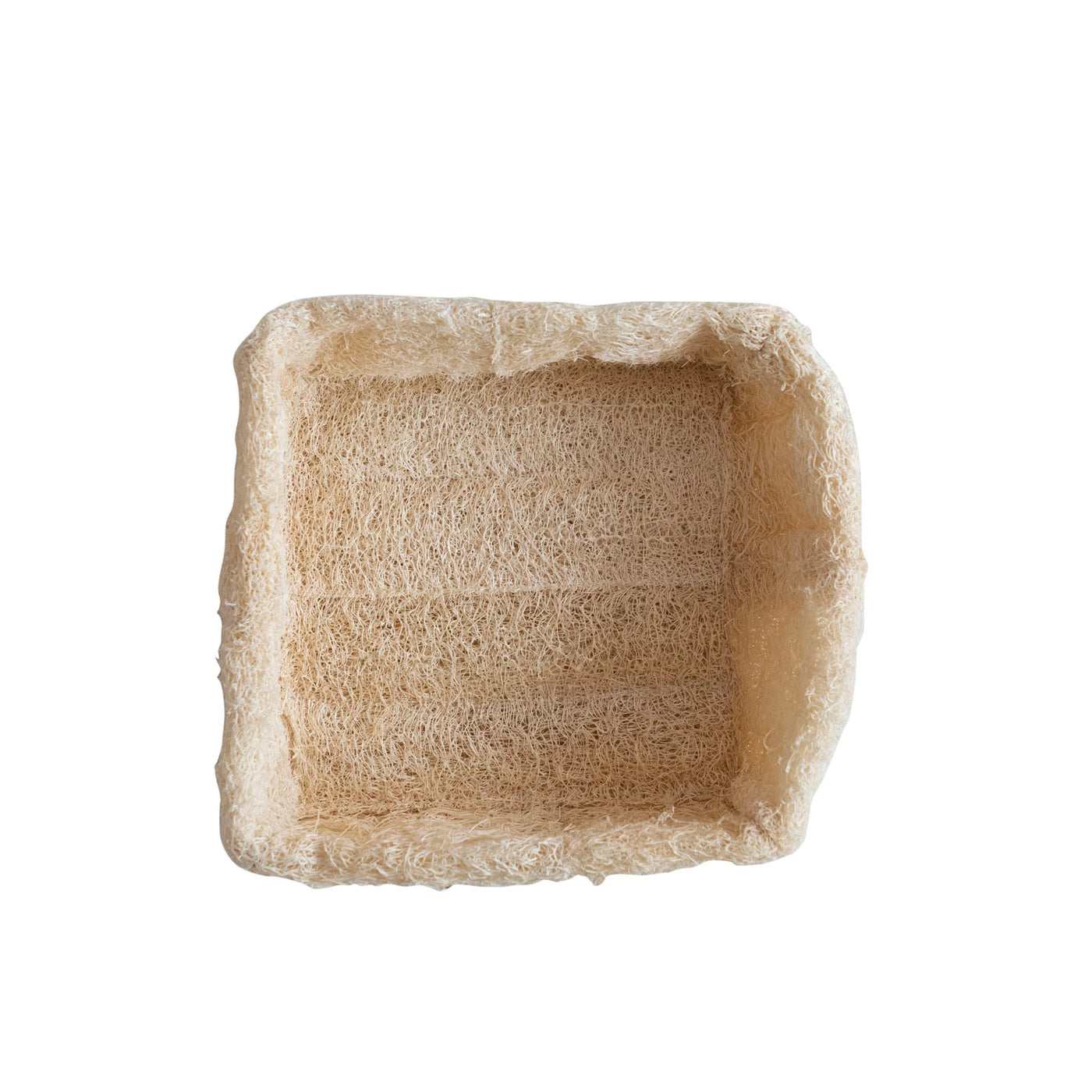 Natural Loofah Container