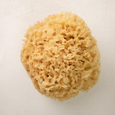 Bath Accessories Company - Mediterranean Wool Sponges