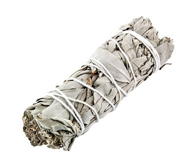 California White Sage